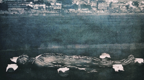 Contrary to blue-tinted cyanotypes, these images have coffee and tea tones to them.