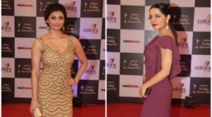 Bollywood stars Daisy,  Anil, Celina at TV awards