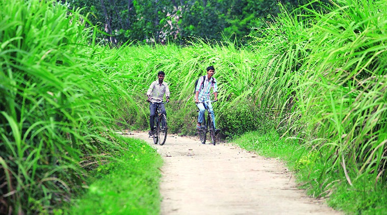 Sachin and Zahid are the only ones to take this desolate route to school and back. (Source: Express photo by Oinam Anand)