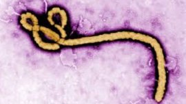 ebola, Sierra Leone, ebola outbreak, Sierra Leone new ebola case, WHO ebola outbreak, world news, health news, latest news