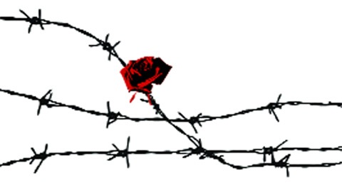 ‘Love jihad’ became a tool of open political mobilisation in the Uttar Pradesh bypolls in September. It reopened some old and fundamental questions about individual choice, community lines and the politics of identity and anxiety in a fast-changing, young country.