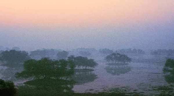 Sunrise at Sultanpur National Park.