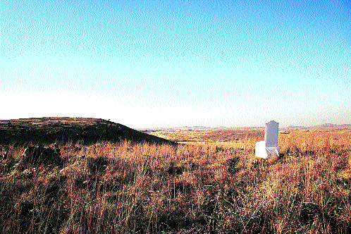  Chair in the Landscape (2013)