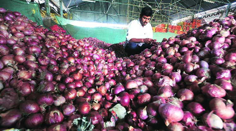 Crisis hits onion trade in Nashik hub | Mumbai News - The Indian Express