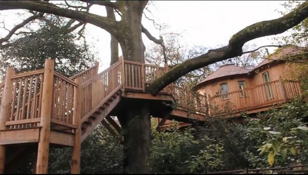 treehouse