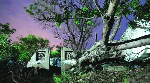 Tsunami, 2004 Tsunami, India Tsunami