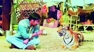 Mark the territory | Cities News,The Indian Express