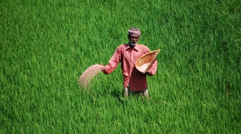 maharashtra district cooperative banks, district cooperative banks, Maharashtra farmers, minister for women and child development, Pankaja Munde, farmer loan waiver, Maharashtra farmers loan waiver, indian express news