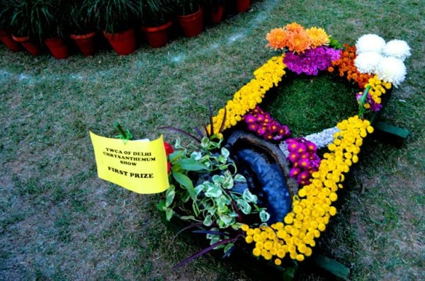 A floral arrangement at the 66th Delhi YWCA Chrysanthemum show. (Source: Swasti Pachauri)