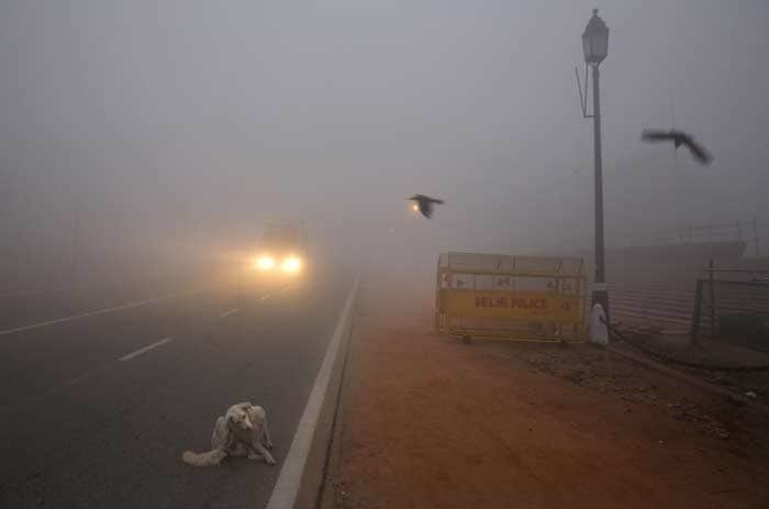 Fog