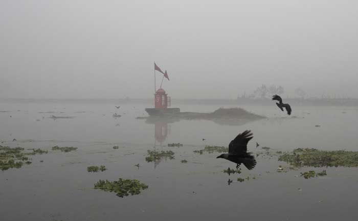 Fog