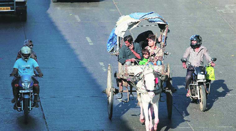 Horsepower: A horse carriage spotted on a no-entry road in Parel. (Source: Express photo by Kevin D’Souza)
