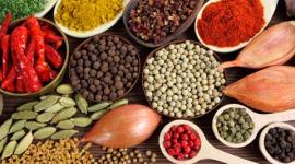 spices odisha, odisha spices boost, odisha news, india news