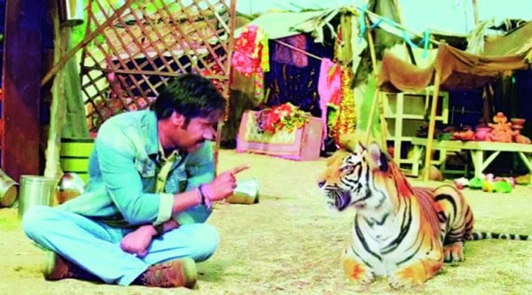 the tiger in the remake of Himmatwala was created with CGI