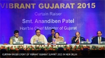 Vibrant-Gujarat-209 no alt set