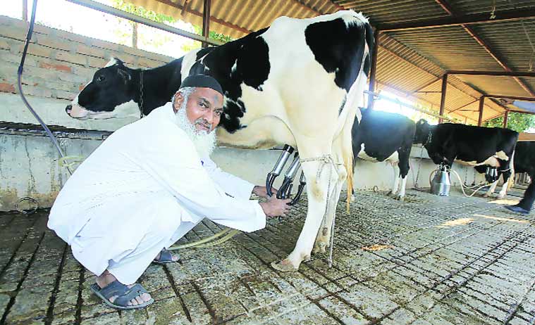 Nazir supplies an average 300 litres daily to the Semodra village cooperative, which he hopes to double in two years.
