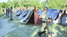 bodo, assam violence