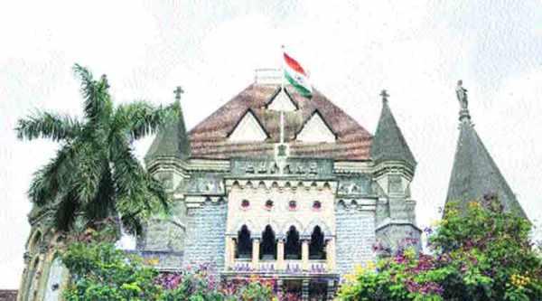 Bombay high court, party in person, supreme court of india, self in court, mumbai news, indian express