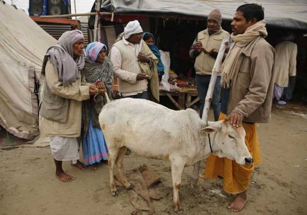 magh mela allahabad