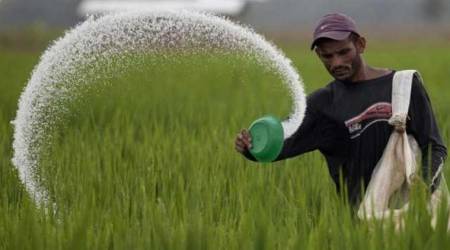 Govt to roll out fertiliser DBT in 5 more states next month