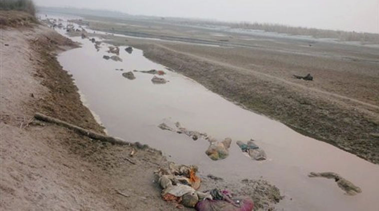 100-bodies-found-floating-in-ganga-probe-ordered-india-news-the