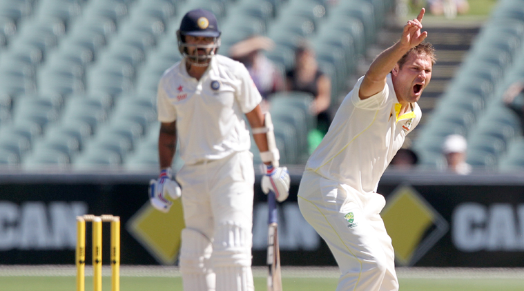 Ryan Harris, Australia, India vs Australia, Aus vs Ind, Ind vs Aus, SCG, Cricket