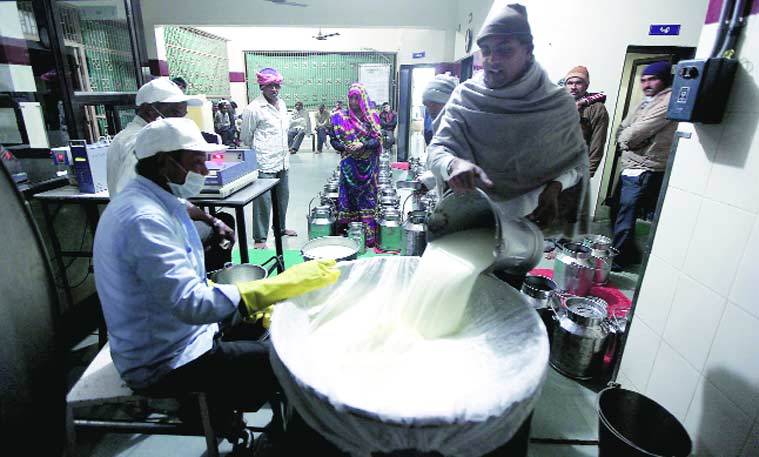 A milk procurement centre in Banaskantha.