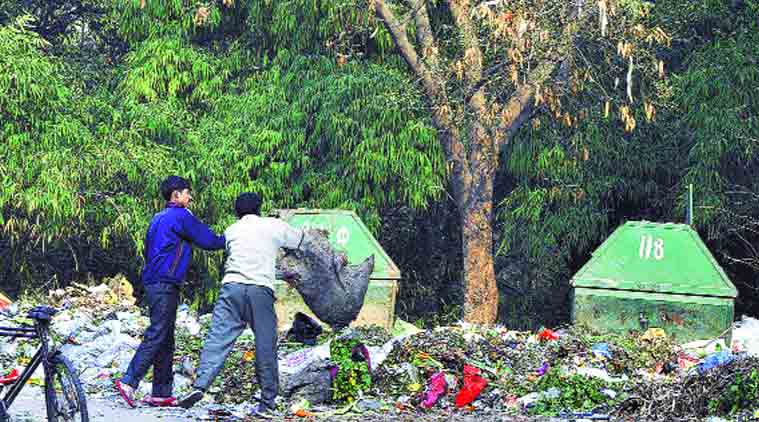 Garbage piled up in Sector 23, Chandigarh. (Source: Express Photo by Sahil Walia)