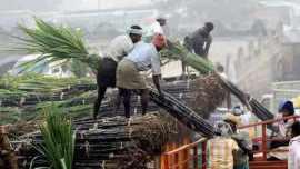 Sugar mills, Sugar mills Maharashtra, Maharshtra private sugar mills, Private sugar mills loss, Mumbai sugar mills loss, Mumbai latest news