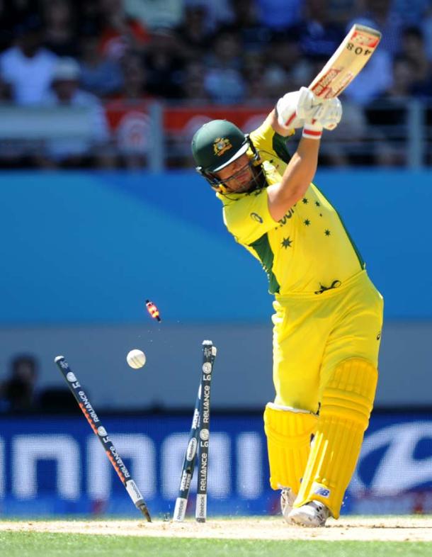 Australia vs New Zealand: In grudge match, Kane Williamson ...