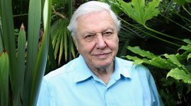 Indira Gandhi Peace Prize, David Attenborough, indira gandhi peace prize winner, Indira Gandhi Memorial Trust, india news, indian express