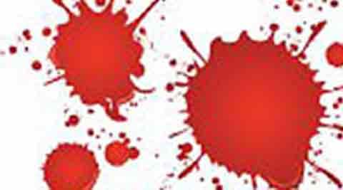 Labourer death, EWS construction, Labourer falls to death, EWS houses, Delhi news