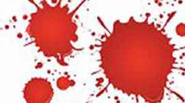 Labourer death, EWS construction, Labourer falls to death, EWS houses, Delhi news