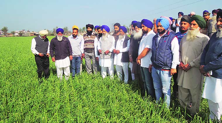 farmers, moga farmers