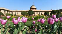mughal garderns, lughal garden open, mughal gardens open, mughal gardern pranab mukherjee, mughal garderns delhi, mughal garderns pictures, india news, news,