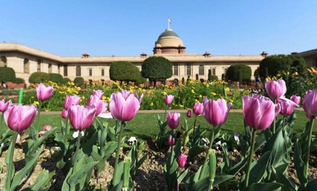 Mughal Gardens at Rashtrapati Bhavan open for the season | Picture ...