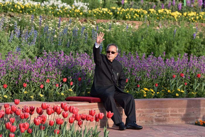 mughal garderns, lughal garden open, mughal gardens open, mughal gardern pranab mukherjee, mughal garderns delhi, mughal garderns pictures, india news, news,