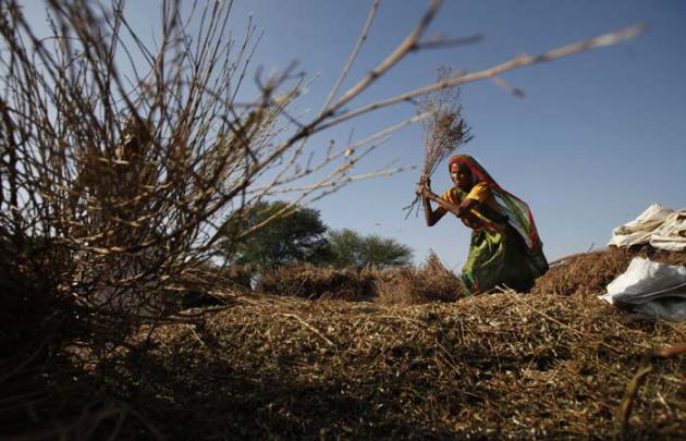 chambal river, bandits, bandits chambal river, mining, mining india, mining chambal river, UP mining, sand mining, illegal sand mining, UP sand mining, picture gallery, india news, indian express