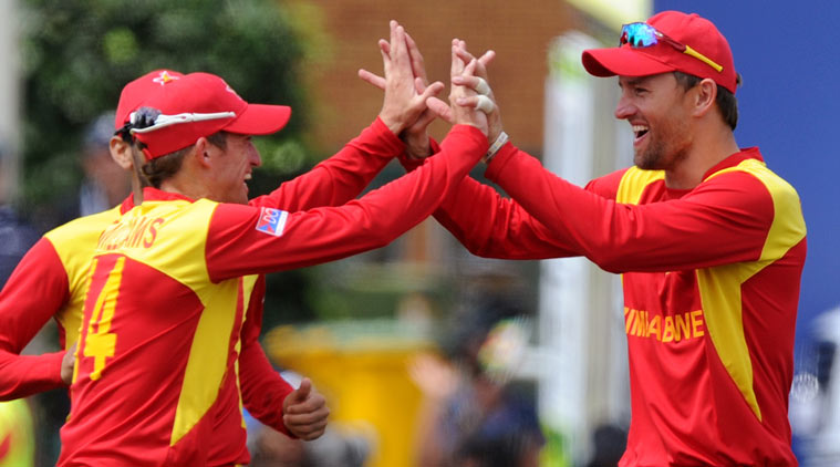 World Cup 2015, Cricket world Cup 2015, UAE vs Zimbabwe, Zimbabwe vs UAE, Sean Williams, Sean Williams vs UAE, Sean Williams World Cup, World Cup News, Sports, Cricket, Cricket news, Sports news
