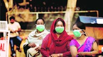 swine flu, swine flu death, swine flu disease, health news, delhi news, swine flu in delhi, city news, local news