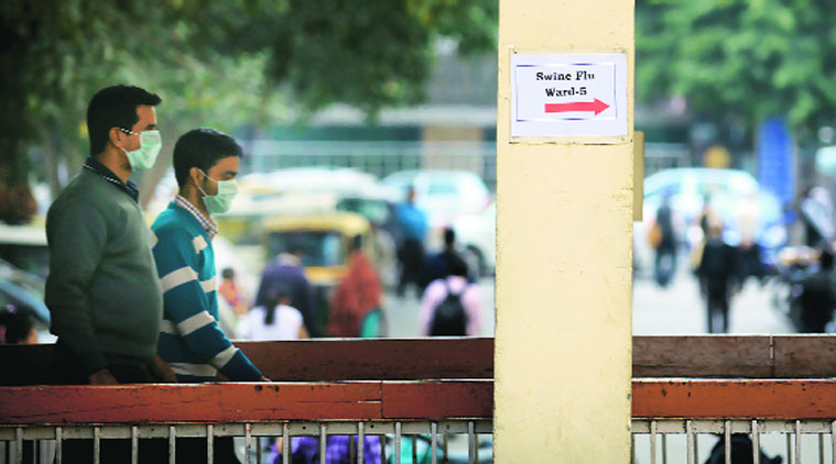 Swine flu, H1N1 virus