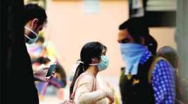 Swine flu, mit, swine flu news, swine flu death, mit swine flu