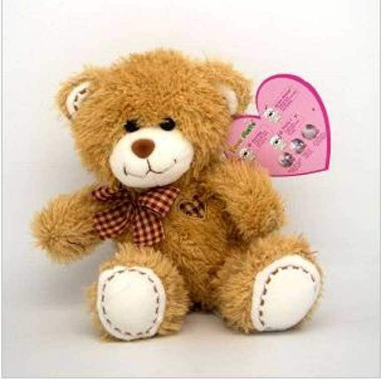 teddy day gift