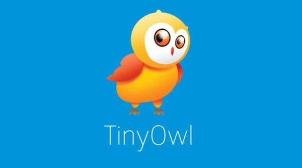 The Tiny Owl at your duty