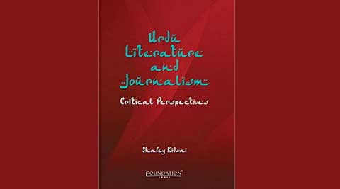 literature review in urdu