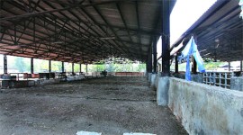 The BMC that manages the abattoir is losing about Rs 80,000 per day in the form of slaughtering and entry fees. (Source: IE photo by Vasant Prabhu)