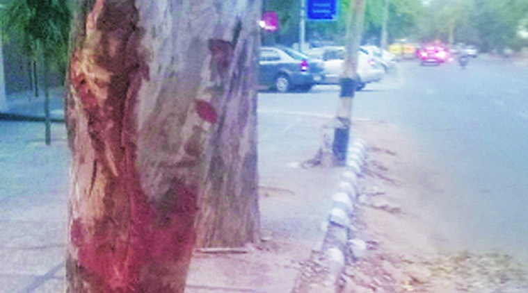 Vasant Vihar accident victim was to take board exams in morning, eyes