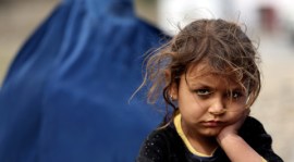 Afghanistan, Afghanistan War, Afghan Refugees, Amnesty International, Afghanistan International Displacement, Kabul, Herat, Parwan, Afghanistan Government, Afghanistan rebuilding, Taliban, US invasion of Afghanistan 2001