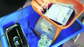 dengue, gurgaon dengue, dengue in gurgaon, blood bank, delhi blood bank, gurgaon blood bank, delhi news gurgaon news