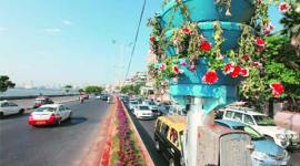 BMC, NPCCA, BMC garden, BMC garden department, plantation, marine drive, marine drive plants wile, plant wilting, mumbai news, city news, local news, mumbai newsline, maharashtra news